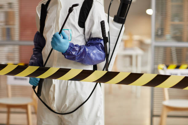 Professional Sewage Cleanup technician working in Chelan Falls, WA
